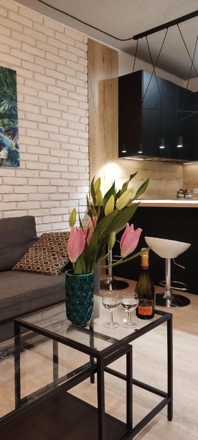Be My Guest- Fontany Luxury Apartment Metro Wi-Fi Free Parking Zone Warschau Buitenkant foto
